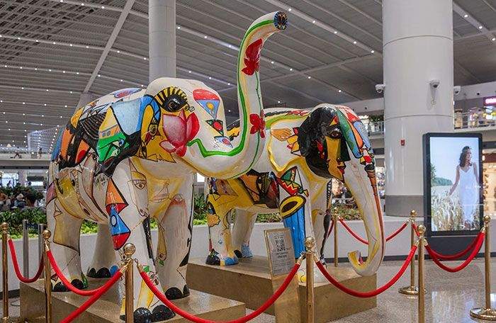 delhi-airport