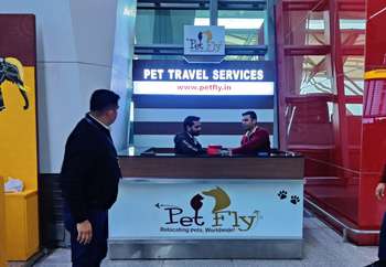 delhi-airport