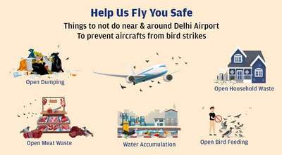 Safety poster showing steps to prevent bird strikes near airport