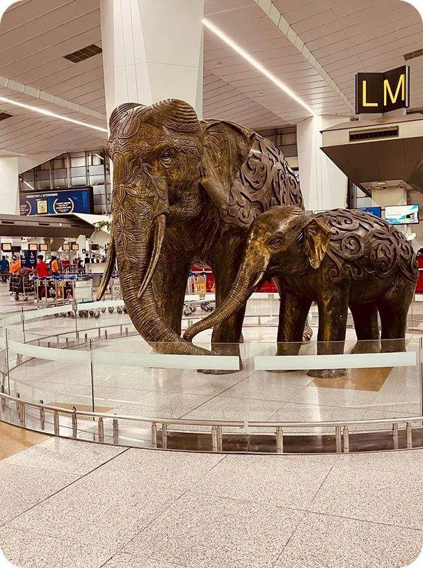 delhi-airport