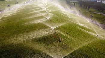 Sprinklers irrigating a large green lawn